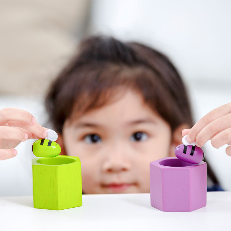 Κυψέλες Plan Toys - Image 6