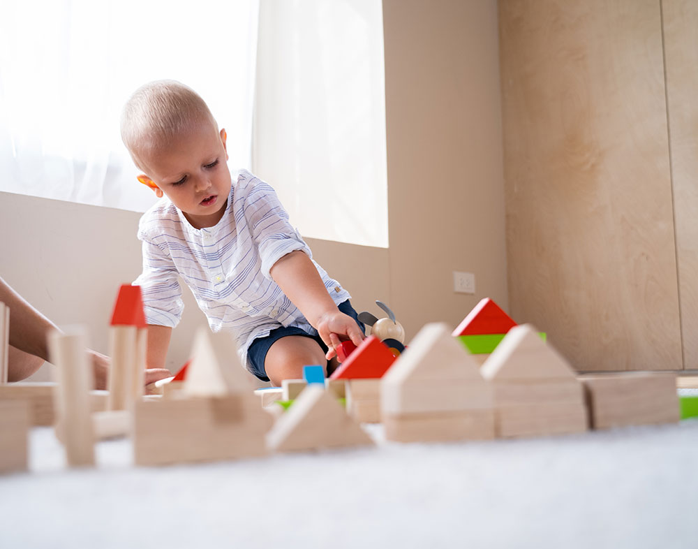 Plan Toys Τουβλάκια χρωματιστά (40τμχ) - Image 2