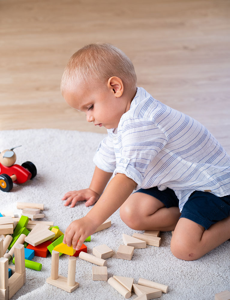 Plan Toys Τουβλάκια χρωματιστά (40τμχ) - Image 4