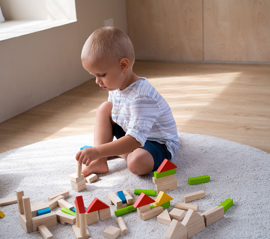 Plan Toys Τουβλάκια χρωματιστά (40τμχ) - Image 3